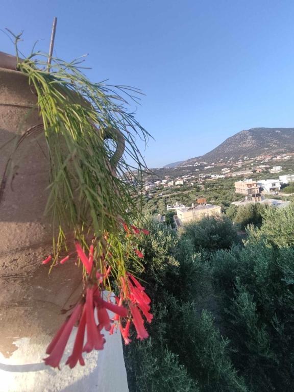 Irini Apartment Άγιος Νικόλαος Εξωτερικό φωτογραφία